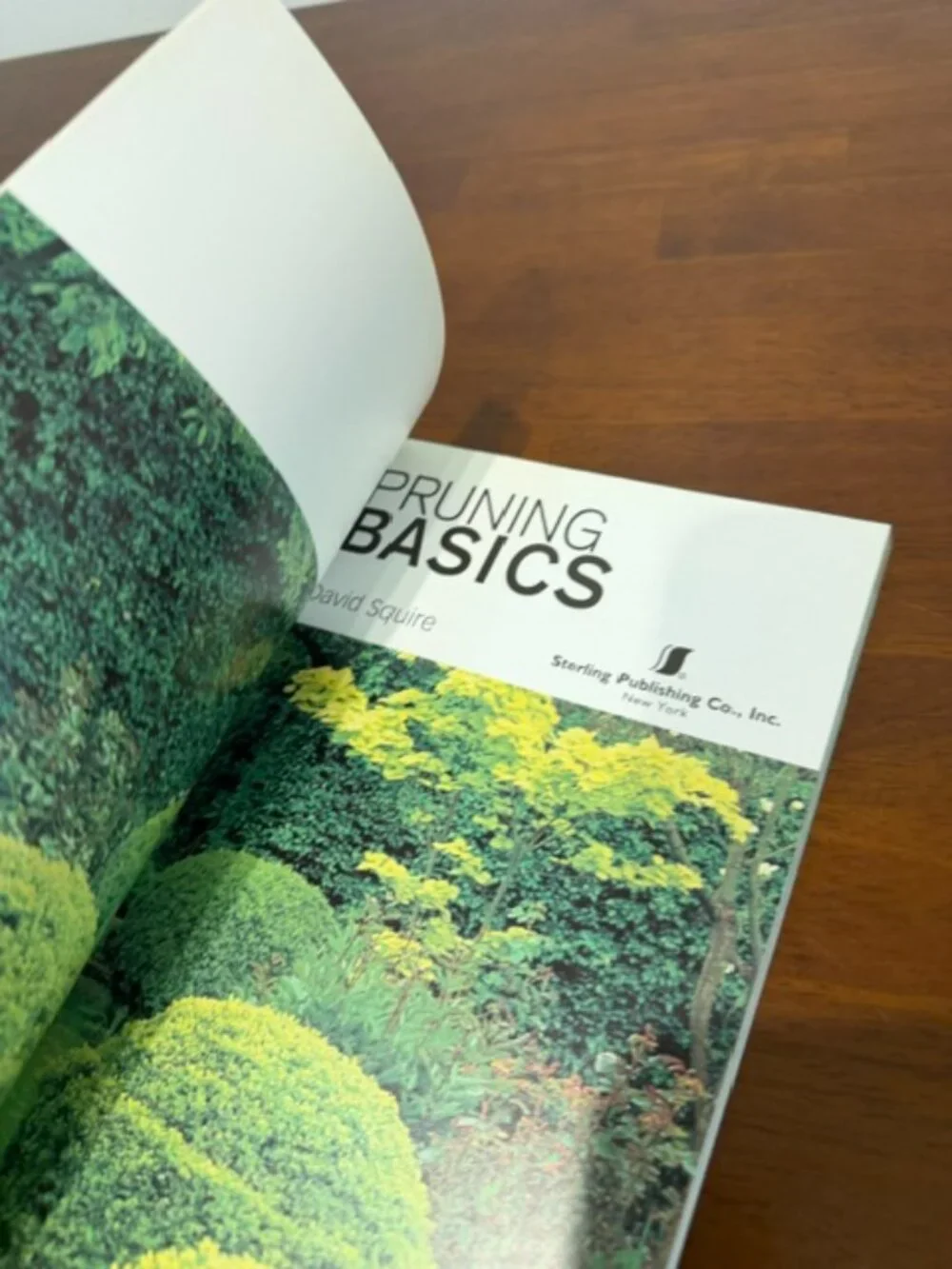 Pruning Basics: Tools Techniques Timing